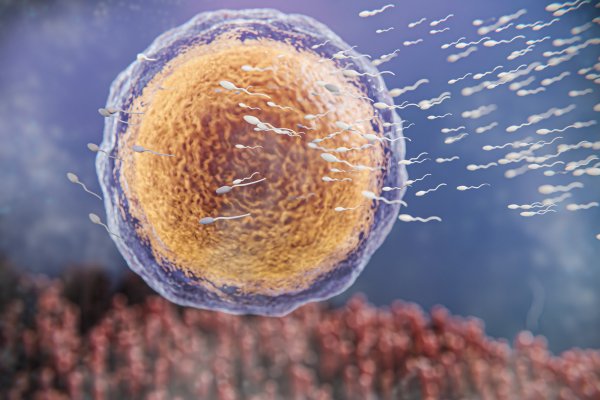 HPV Virüsü Nedir? Bulaşma Yolları, Belirtiler ve Korunma Yöntemleri