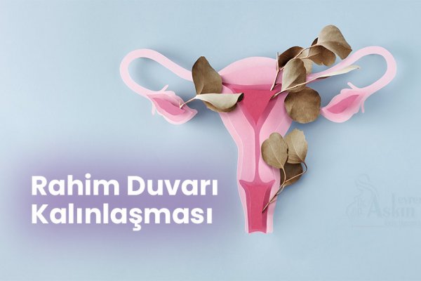 Rahim Duvarı Kalınlaşması